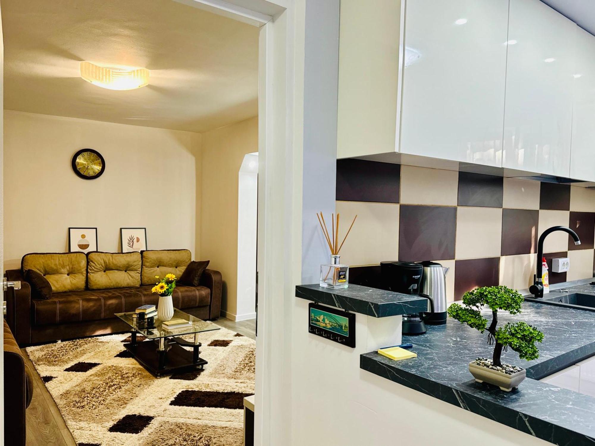 Joy City Stay Spacious Comfortable Тимишоара Экстерьер фото